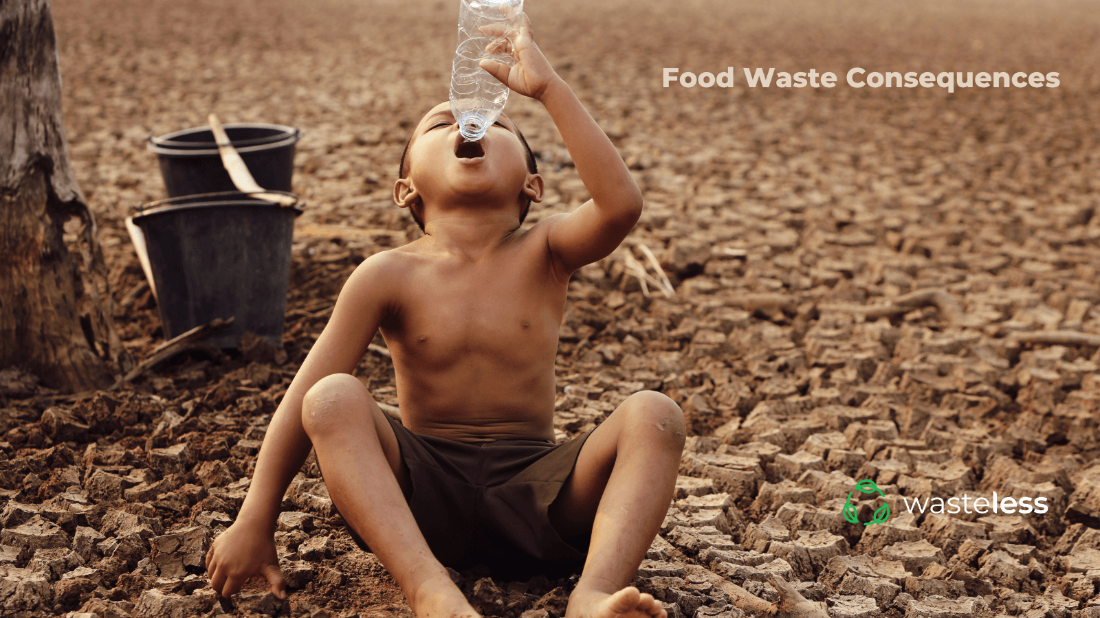 Consequences Of Food Waste Wasteless consequences-of-food-waste-wasteless
